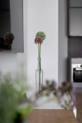 Apartments Steam Park Cracow by Renters - İç Mekan
