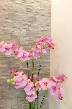 Apartments Stipisic - İç Mekan