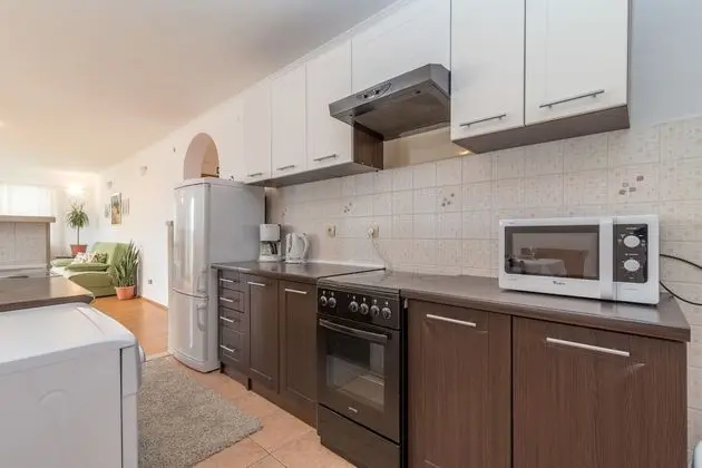 Apartments Vojin - Mutfak