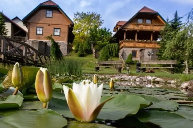 Apartments and wellness center Korošec - Öne Çıkan Resim
