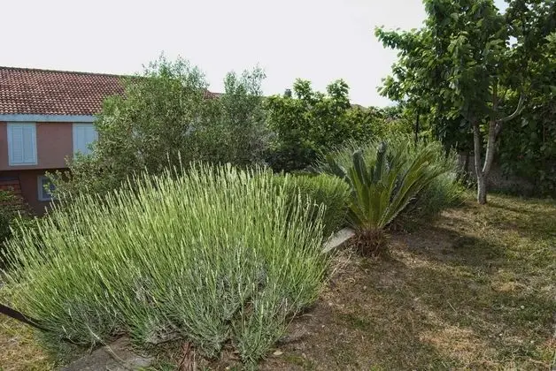 Apartments Zderic - Dış Mekan