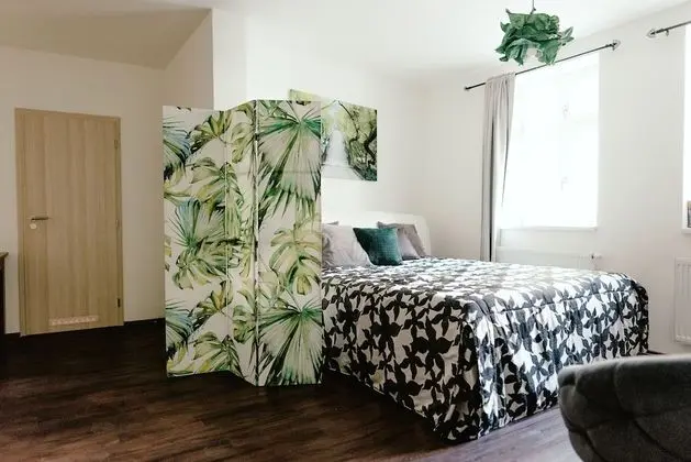 Apartments Zelny Trh I