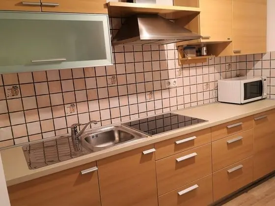 Apartments Znidar - Mutfak