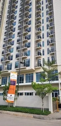 Apatel Puri Orchard Orange Grove-A