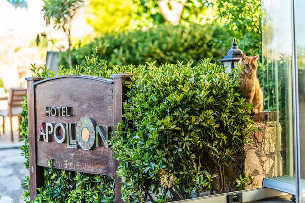 Apollon Hotel Bozcaada