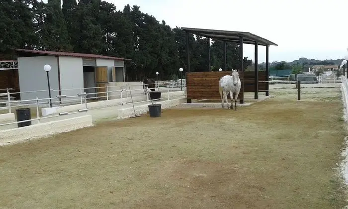 Apollonion Country House - Dış Mekan
