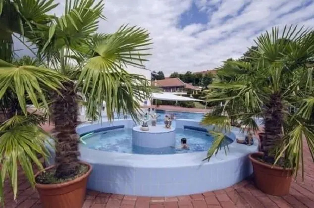 Apparthotel Jagdhof - Havuz