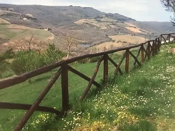 Appartamenti Camere di Baldini Romanita - Dış Mekan