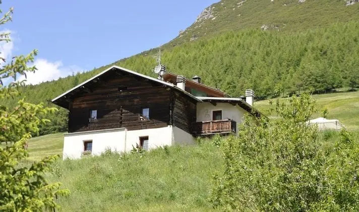 Appartamenti Green