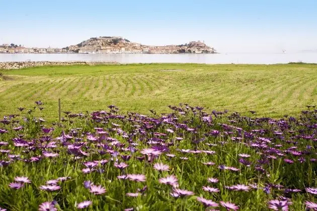 Appartamento Bilocale Podere San Marco - Öne Çıkan Resim