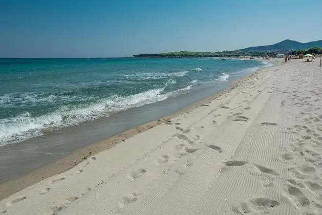 Appartamento Dei Pini