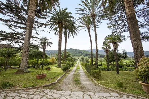 Appartamento Podere San Marco - Dış Mekan