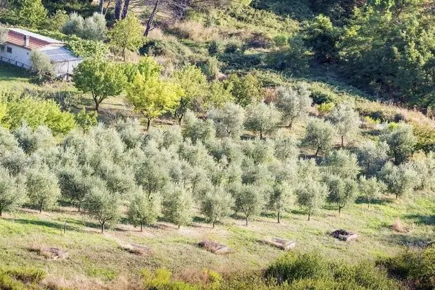 Appartamento Uva Shared Pool - Dış Mekan