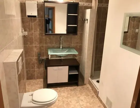 Appartement Lyon - Villeurbanne - Banyo Tipleri