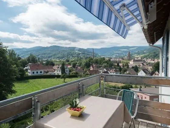 Appartements Maison Bellevue - Oda Manzaraları