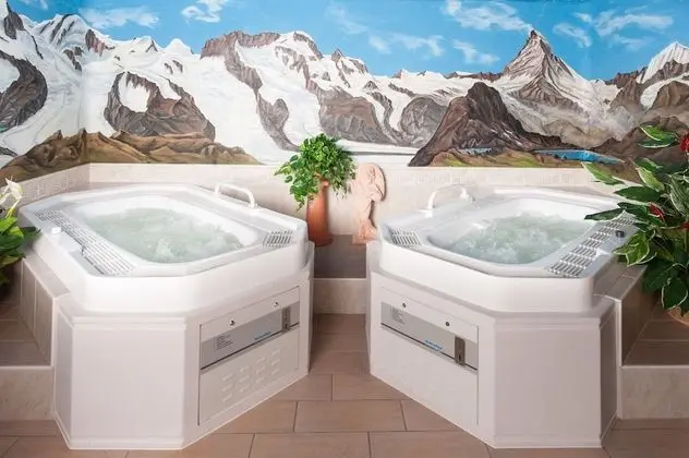Appartements Zermatt Paradies - Havuz