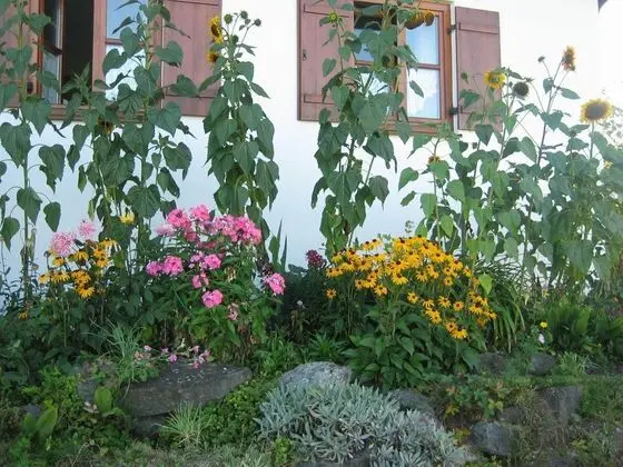 Appealing Apartment in Ingenried With Fenced Garden - Dış Mekan