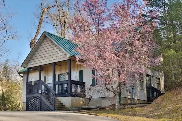 Apple Blossom 10 - Two Bedroom Chalet - Dış Mekan