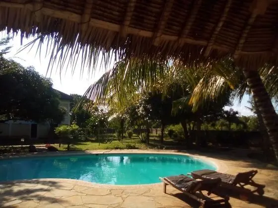 Apple Mango Apartments - Havuz