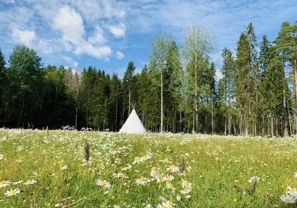 Apple Tree Cabin With River Views - Dış Mekan