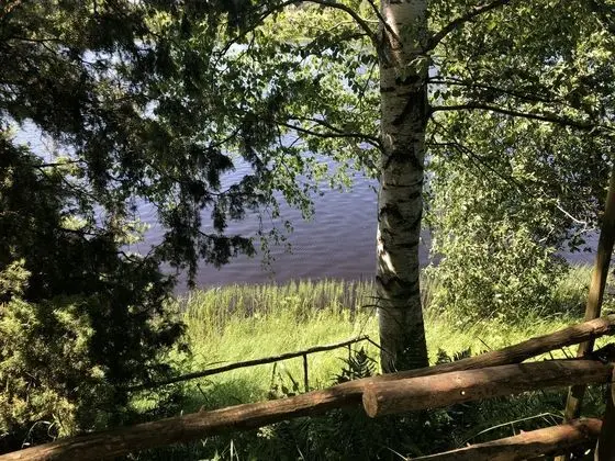 Apple Tree Cabin With River Views - Genel