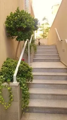 Apt Terrace & Garden - Bauhaus - Dış Mekan