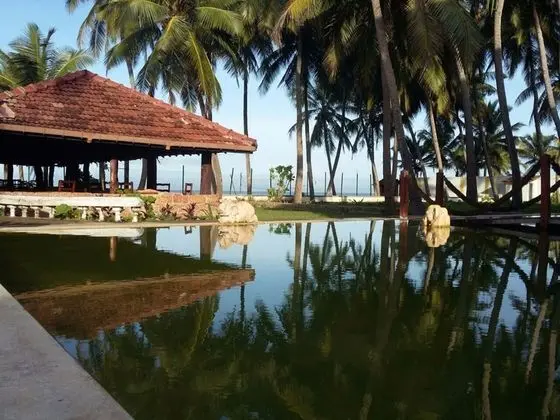 Aquarius Resort