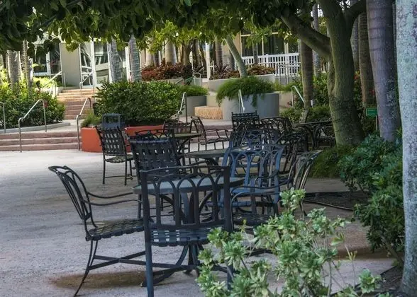 Aquarius Vacation Club at Dorado del Mar - Dış Mekan