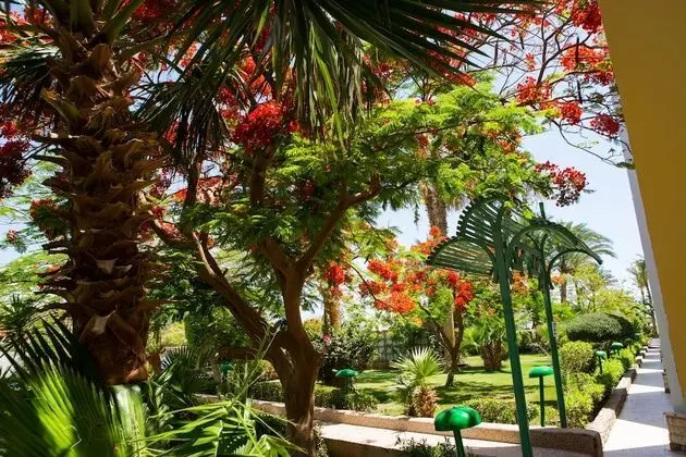 Arabia Azur Resort - All Inclusive - Dış Mekan