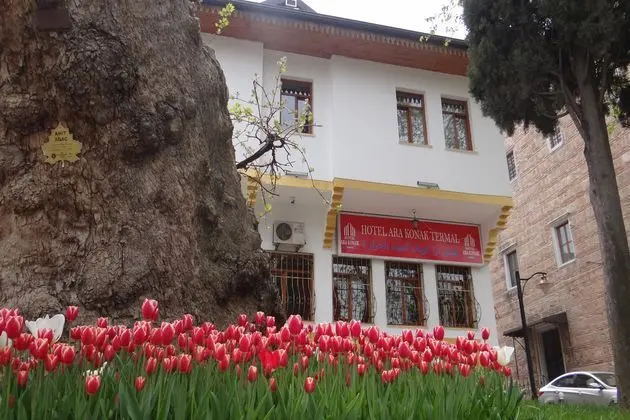 Arakonak Termal Hotel - Genel