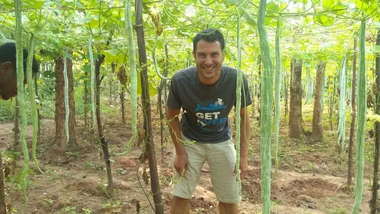 Araliya Self Cooking Resort Dambulla