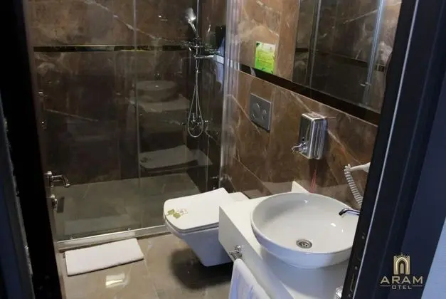 Aram Otel Business & Luxury - Genel