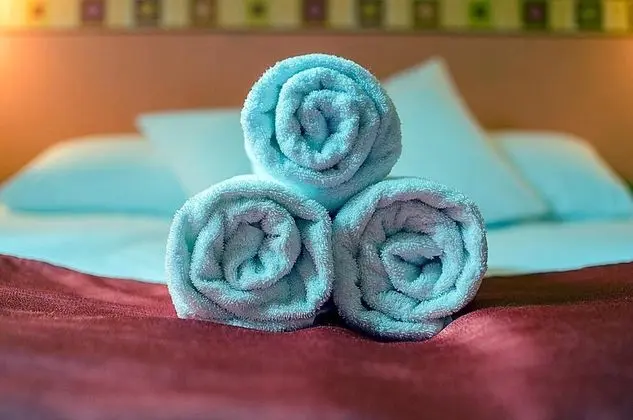 Arany Patkó Pension - Spa