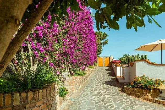 Villa Araucaria - Dış Mekan