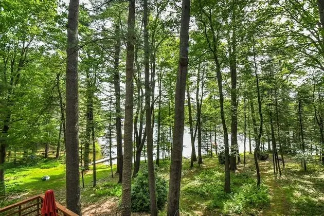 Arbutus Trail - Dış Mekan