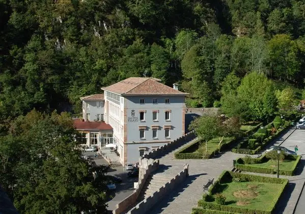 Arcea Gran Hotel Pelayo - Genel