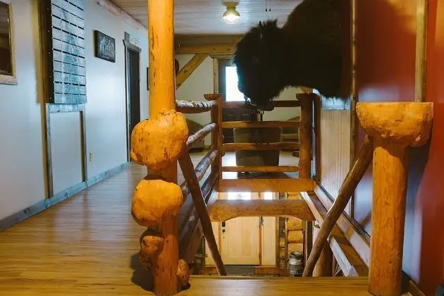 Arctic Divide Lodge - Lobi