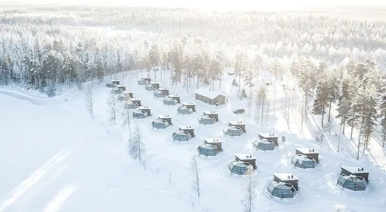 Arctic Fox Igloos