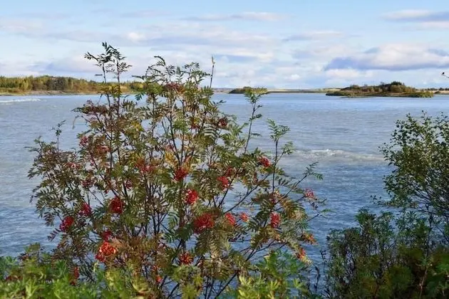Arctic Nature Hotel - Plaj