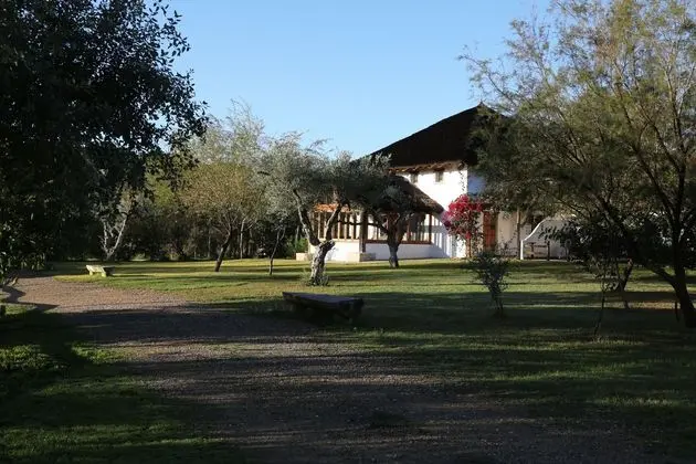 Ardea Purpurea - Dış Mekan