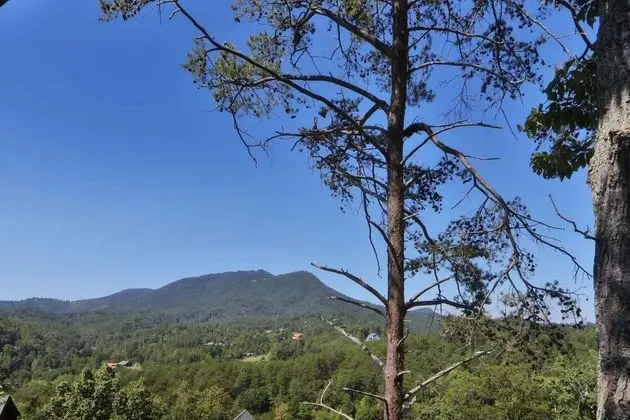 Arden Hill - One Bedroom Cabin - Dış Mekan