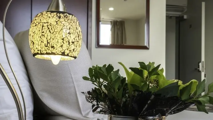 Areca Launceston - Oda