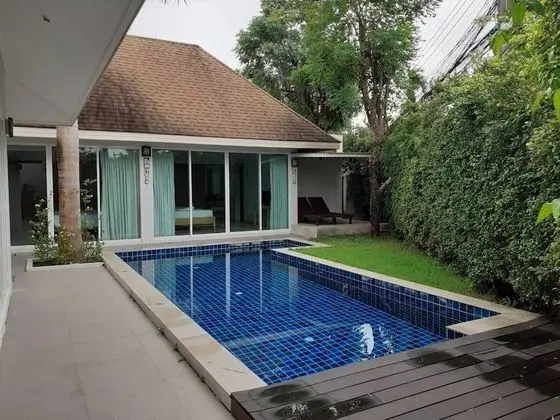 Areeca Mahogany Zone