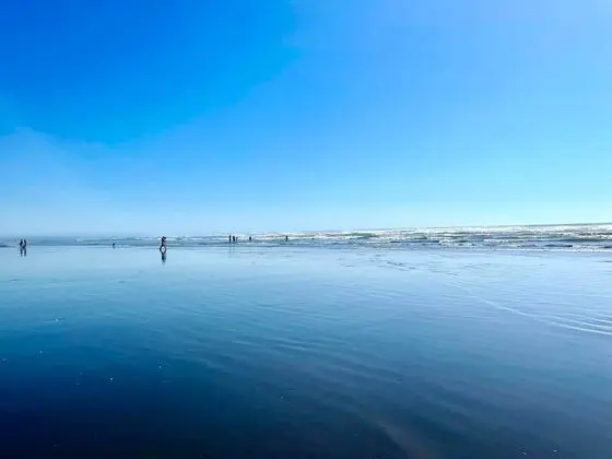 Arena del Mar