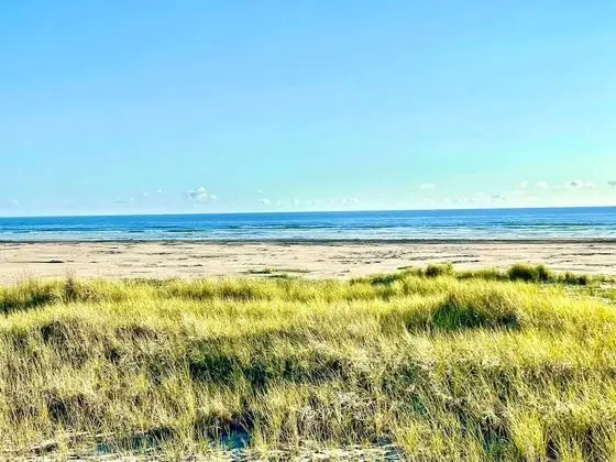 Arena del Mar - Plaj