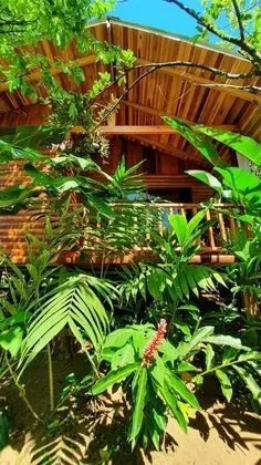 Arenal Rustic Lodge - Dış Mekan