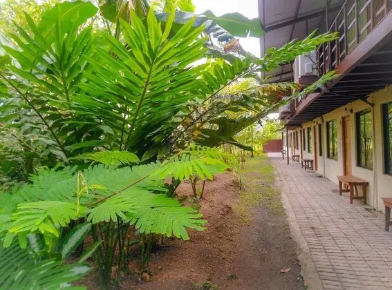 Arenal Xilopalo - Dış Mekan