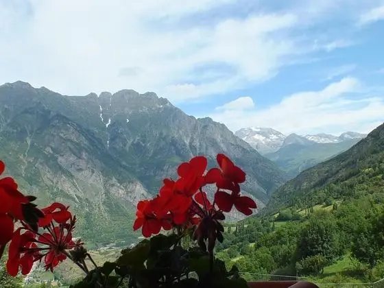 Hotel Areulo - Dış Mekan