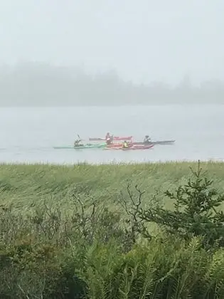 Argyle Sound Cottages - Plaj