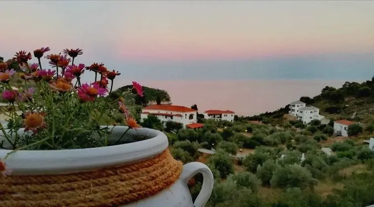 Hotel Ariadne